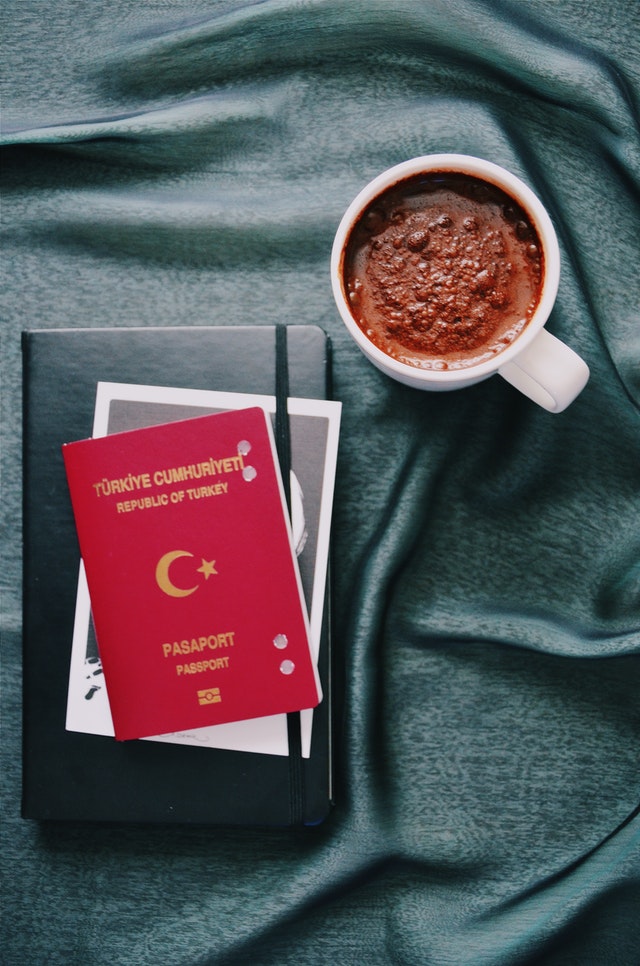 turkish passport photo